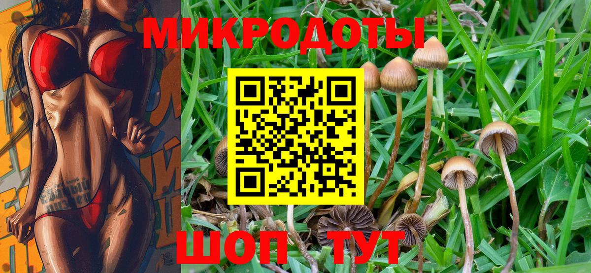 Псилоцибиновые грибы GOLDEN TEACHER  Вход с VPN  продажа наркотиков  Армавир 