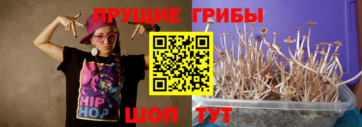 Галлюциногенные грибы ЛСД Армавир